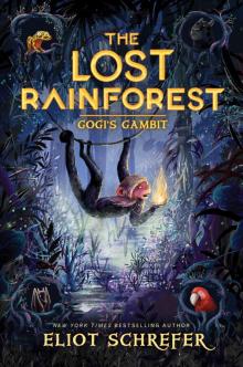 The Lost Rainforest #2