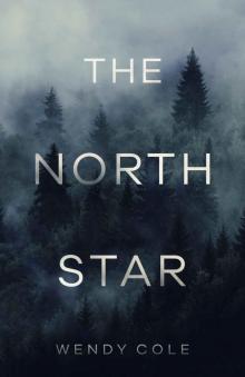 The North Star