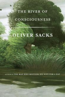 The River of Consciousness