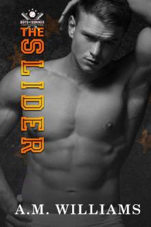 The Slider (Boys of Summer Book 5)