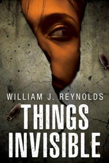 Things Invisible (A Nebraska Mystery Book 4)