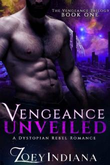 Vengeance Unveiled