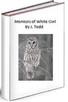 Memiors Of White Owl