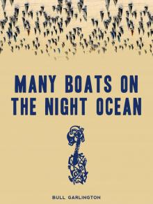 Many Boats on the Night Ocean