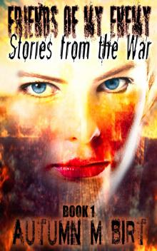 Stories from the War: Military Dystopian Thriller