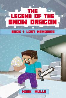 The Legend of the Snow Dragon, Book 1: Lost Memories