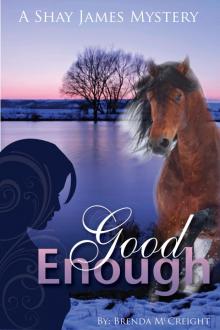 Good Enough:   A Shay James Mystery