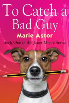 To Catch a Bad Guy (Book One of the Janet Maple Series)