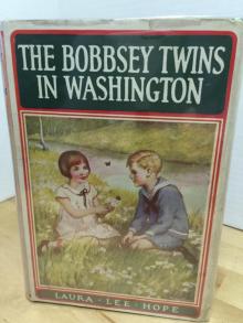 The Bobbsey Twins in Washington