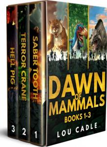 A Dawn of Mammals Collection