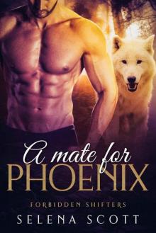 A Mate For Phoenix (Forbidden Shifters Series Book 4)
