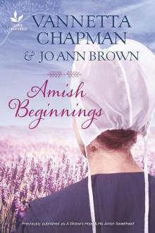 Amish Beginnings