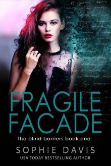 [Blind Barriers 01.0] Fragile Facade