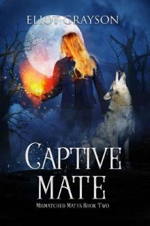 Captive Mate (Mismatched Mates Book 2)