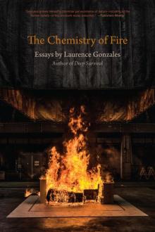 Chemistry of Fire