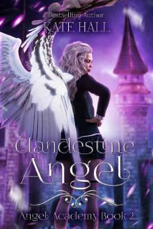 Clandestine Angel