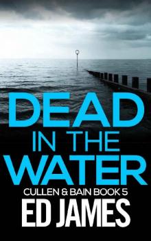 Dead in the Water: When Cullen met Bain (Cullen and Bain Scottish Crime Thrillers Book 5)