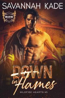 Down in Flames (Wildfire Hearts Book 5)