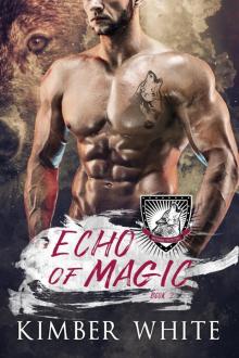 Echo of Magic: A Wolfguard Protectors Novel