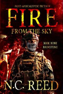 Fire From The Sky | Book 9 | Brimstone