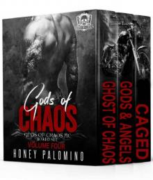 Gods of Chaos MC Box Set 4