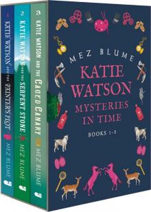 Katie Watson Mysteries in Time Box Set