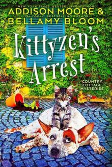 Kittyzen's Arrest