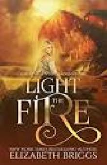 Light The Fire: A Reverse Harem Fantasy (Her Elemental Dragons Book 0)