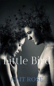 Little Bird: A College Bully Romance (J.E.R.K Book 1)