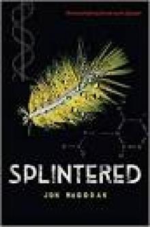 Splintered