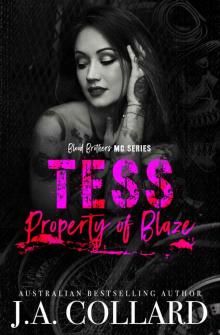 Tess Property of Blaze: Book #5 in the Blood Brothers MC Series