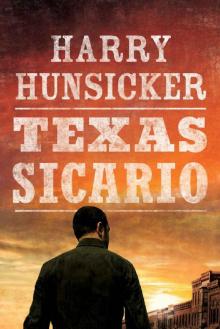 Texas Sicario (Arlo Baines Book 2)