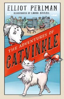 The Adventures of Catvinkle