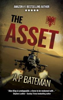 The Asset (Alex King Book 10)