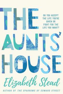 The Aunts’ House