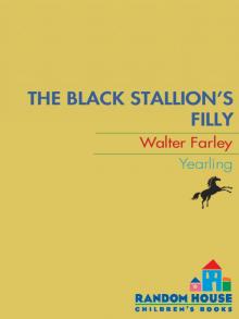 The Black Stallion's Filly