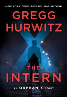 The Intern