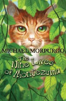 The Nine Lives of Montezuma