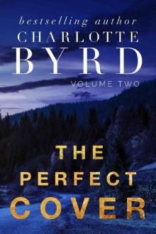 The Perfect Cover (The Perfect Stranger Book 2)