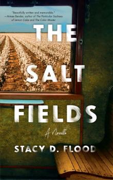 The Salt Fields