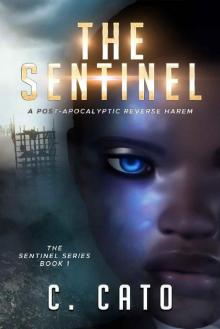 The Sentinel