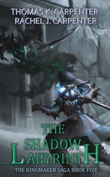 The Shadow Labyrinth: A LitRPG Adventure