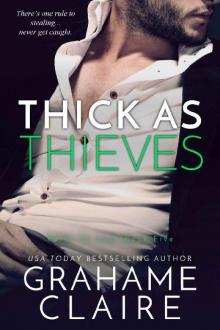 Thick As Thieves: An Enemies-To-Lovers Romance (Paths To Love Book 5)