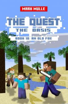 The Quest: The Oasis, Book 10: An Old Foe