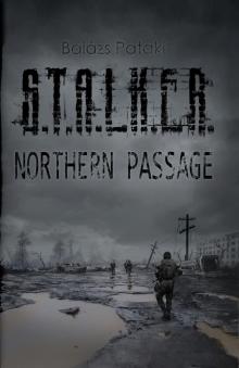 STALKER Northern Passage