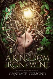 A Kingdom of Iron & Wine : New Adult Fantasy Romance (The Ironworld Series Book 1)