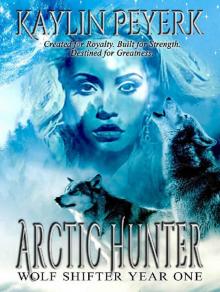 Arctic Hunter