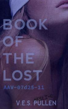 Book of the Lost: AAV-07d25-11: (A reverse harem, post-pandemic, slow-burn romance) (The JAK2 Cycle, Book 3)