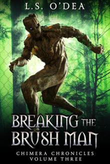 Breaking the Brush Men