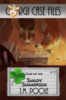 Case of the Shady Shamrock